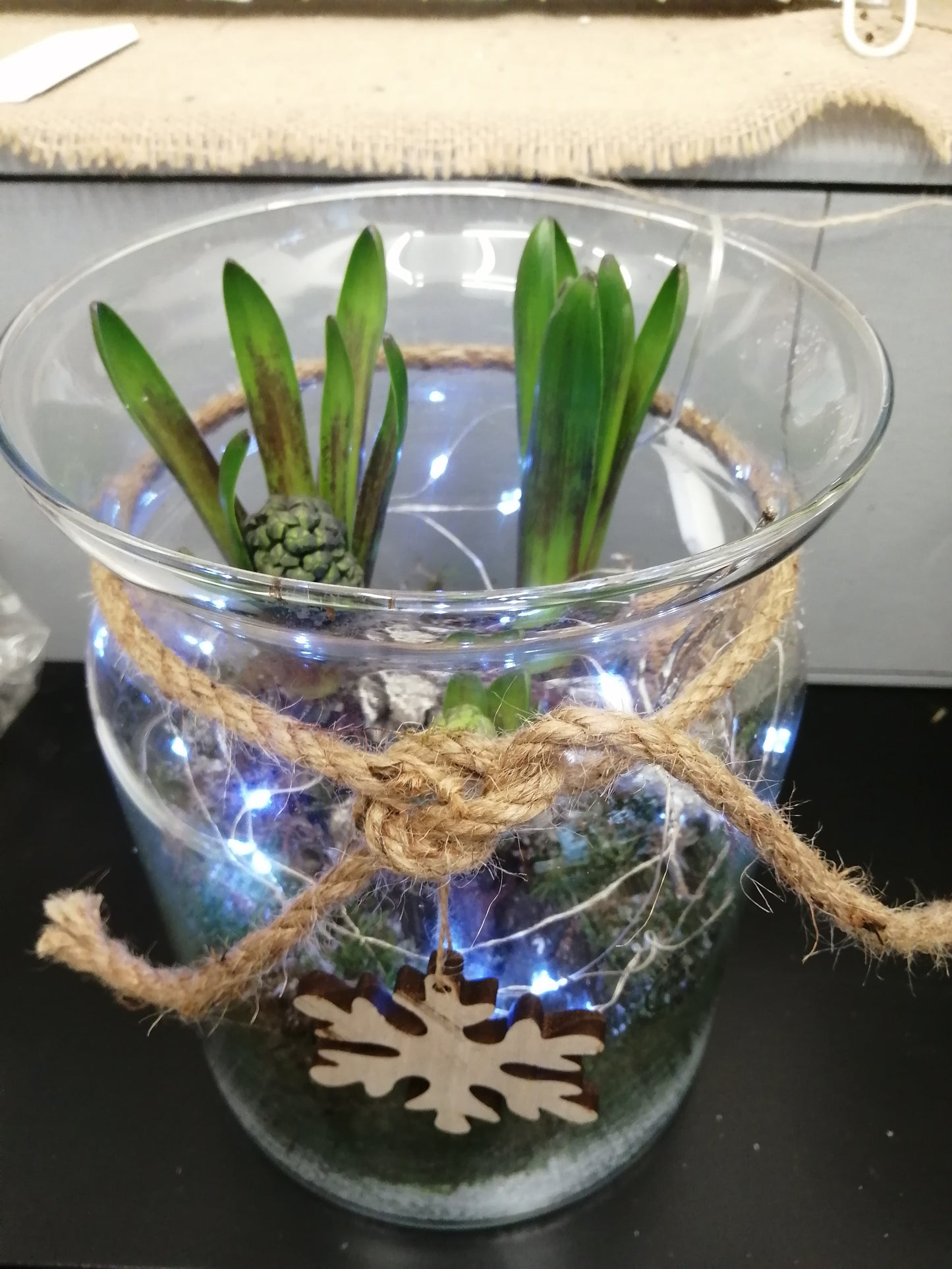 Festive lights planted jar