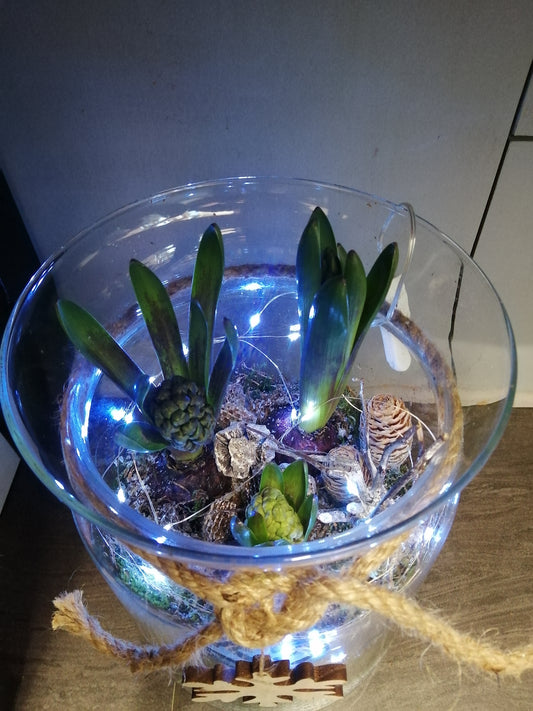 Festive lights planted jar