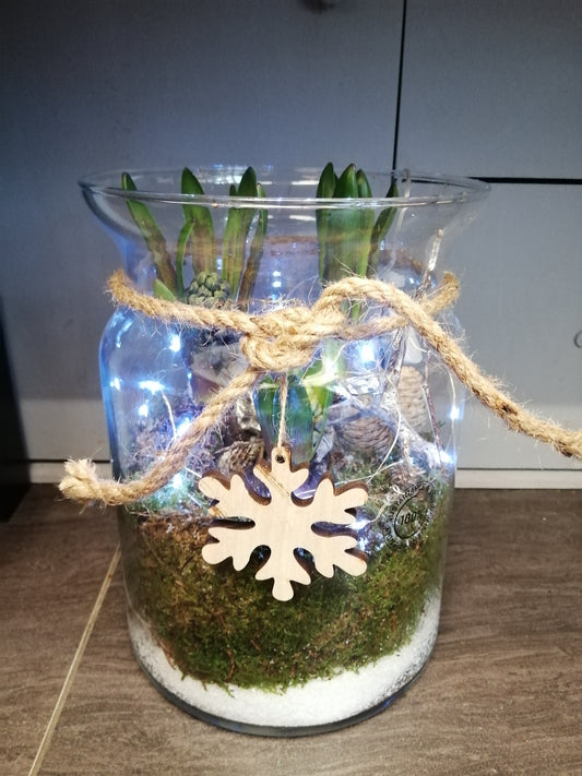 Festive lights planted jar
